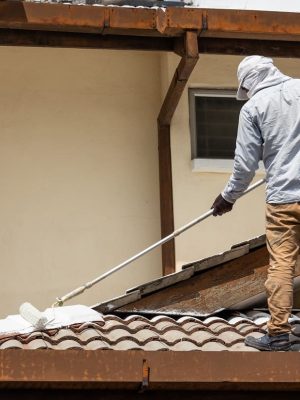 worker-adding-undercoat-foundation-paint-onto-roof-2023-11-27-05-25-39-utc